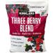  рефрижератор Mix Berry 1.81kg машина Clan do signature s Lee Berry Blend laz Berry голубика BlackBerry смузи yo-gru