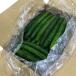  коробка продажа огурец 1 коробка 5kg Kyushu производство огурец местного производства Япония производство коробка покупка коробка .. массовая закупка большая вместимость много для бизнеса .komi классификация прекрасный тест .. качество 