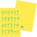  Cheer A4 clear file tiz Chan stationery motion yellow eitiz