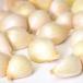  чеснок Aomori роза 500g кожа облупленное место . есть гурман в соответствии SHOP чеснок роза Цу легкий чеснок 