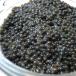  лампа рыба черная икра 150g (50g×3 шт ) Германия производство *LF черная икра [3 шт ]*