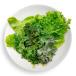  свежий!.. длина! кудрявая капуста . lettuce. салат комплект 80g? химия удобрение / химия пестициды не использование, aqua poniks сельское хозяйство закон. . овощи, заказ . входить .. из .. делать из fresi