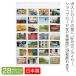 sakiSAKI DISPLAY STORAGE POCKETHORIZONTAL POSTCARD S-525 настенный карман открытка 28P сделано в Японии магазин карта ширина направление 28 карман 