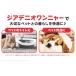 �y�b�g ���L ���� 2.5L 2�� ���Z�x500ppm �������f�_�� ��10�{��߂�50���b�g���� �� �L ������ ���F���� �W�A�f�j�I�����j���[ �֘A�摜1