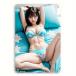 �������̎q�@�������@�@�������蕨�@ ���^���T�C��  �u���L�Ŕ@�@�C���e���A�G�݁@ �@20cmx30cm