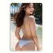 �������̎q�@�������@�@�������蕨�@ ���^���T�C��  �u���L�Ŕ@�@�C���e���A�G�݁@ �@20cmx30cm
