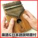 yu. фортепьяно ( айва китайская ba) введение комплект ( тренировка музыкальное сопровождение 10 искривление имеется с прилагаемой инструкцией ) - изображение . звук. . фирма 