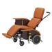 ( наложенный платеж не возможно ) полный наклонный Carry FC-120 кожаные сидения specification боковой юбка есть Pigeon ta common ( инвалидная коляска наклон наклонный складной ) товары для ухода 