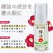 ����M�̍����֖̒����g�p�������Y�֖� 30ml �������p ���Y ���Y�� �q���� �w�A�I�C�� �������� �n���E�B�� �Y�n���� ������ �M�t�g �v���[���g ���蕨 �֘A�摜5