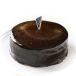 CAKE EXPRESS �U�b�n�g���e �`���R���[�g�P�[�L 4��