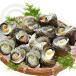 �V�R�� ������ ���T�C�Y 1kg 12�� 70�`110g [������]