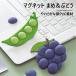  магнит виноград type mame type 2 вид из . выбор магнит память прекращение память документ . рефрижератор белая доска кухня симпатичный мощный крепкий удобный удален возможность новый товар бесплатная доставка 