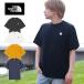 2026 весна лето новый цвет кошка pohs отправка! North Face футболка ткань толщина квадратное Logo короткий рукав мужской женский THE NORTH FACE Logo чай половина T NT32445
