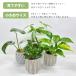 �ϗt�A�� �V���K�[�o�C��3���|�b�g ���������J�o�[�t�� ��Ă₷�� �C���e���A �C���h�A �O���[�� �֘A�摜4