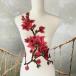  жезл Leotard костюм узор роза цветок узор вышивка узор Berry Dance бальные танцы балет костюм оборудование орнамент наряд Leotard узор красный 