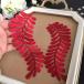  leaf узор красный вышивка нашивка Leotard костюм ручная работа оборудование орнамент 
