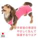 �G���U�x�X�J���[ �̑���� �b��t ���� ��D ��p �y�������z �p�㕞 �G���U�x�X�E�G�A(R) ���̎q �̉����� ���x���� �_�b�N�X �֘A�摜1