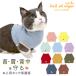 [ including carriage ] cat for neck protection s gold wear (R) atopy allergy excess (over-) grooming lick scratch . measures 