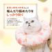 �G���U�x�X�J���[ �y�b�g�p �� �L ���r�ߖh�~ ���������h�~ �N�b�V�����f�� �� �X�g�b�p�[�t�� �h�� ��􂢐��� �X�g���X�t���[ �p�� �畆 �������� �֘A�摜2