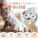 �y�g�C���z �L �p�㕞 ���蒲�� S/M/L �L�k�� ���Ȃ� ���E�ȒP �Y�㕞 �ی앞 �p�� �Y�� �L �˂� ���r�ߖh�~ �R�b�g�� ���K �X�g���X �y�� �}�W�b�N�e�[�v �֘A�摜1