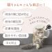 �y�g�C���z �L �p�㕞 ���蒲�� S/M/L �L�k�� ���Ȃ� ���E�ȒP �Y�㕞 �ی앞 �p�� �Y�� �L �˂� ���r�ߖh�~ �R�b�g�� ���K �X�g���X �y�� �}�W�b�N�e�[�v �֘A�摜2