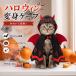 �n���E�B�� �y�b�g�� �� �L�p ���@�g�� �}���g �X�q�t�� �R�X�`���[�� ���� �R�X�v���ߑ� �y�b�g���� �p�[�e�B�[ �C�x���g �ʐ^�B�e �ϐg�O�b�Y