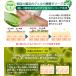 �n�[�u�s�[�����O �p�b�N ��h�� �����Ȃ� �p�� �ь� ������ ����� �s���A���f�� �n�[�u�s�[�����O �֘A�摜3