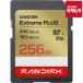  SanDisk SDSDXWI-256G-JNJIN SANDISK SD Extreme PLUS 256GB { срок поставки примерно 1 месяцев }