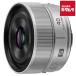 �p�i�\�j�b�N LUMIX S 40mm F2 [S-S40-S] �V���o�[ Panasonic ���~�b�N�X �P�œ_�����Y L�}�E���g �t���T�C�Y ���������Y �s�[����Q�����t