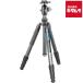  Leo фото LX-284CT+XB-38 LX тигр bela- штатив платформа 