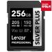 re kissa -LSDSIPL256G-BNNPJ Professional SILVER PLUS SD карта 256GB { срок поставки примерно 1-2 неделя }