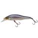  Megabass (Megabass) Minaux X-80SW S 4 GG иваси искусственная приманка 