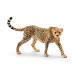 shulaihi wild жизнь chi-ta( женский ) 14746N