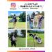 �L���f�B�o�b�O �S���t�o�b�O �S���t �X�^���h ���y�� ������� �����Y ���f�B�[�X 6���� ���K ������� �p�C�N�X�s�[�N �֘A�摜3