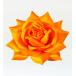  фламенко rose волосы зажим orange 815o