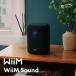 WiiM WiiM Sound WIM-WSOUND беспроводной динамик 
