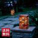 ڤΤ Ǿ 5 ǥ饤 LED    ϶ Ǿ п        ꡼󥯥 MZ1-LED75