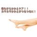 �V ���₷�� �G�X�e ������ ��� �C�� �V���₷�݃G�X�e �ێ� �J�T�J�T �ێ����\ ��d�҂� ������ �C�� �\�b�N�X ���{�� ���[���� �|�X�g���� �֘A�摜5