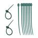  height .TAKAGI gardening Unity for silicon band 20.5cm 10PCS green 