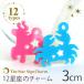 3cm 󥷥ƥ 㡼  12 :2mm ڤ椦ѥåб