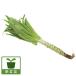  овощи. рассада стебель lettuce ( гора ...) рассада 3 номер pot 