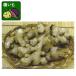  овощи. рассада имбирь ( вид сырой .) золотой час имбирь (. ...)180g ввод 
