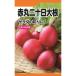  дайкон красный круг 2 10 день дайкон. вид салат. ... овощи tane