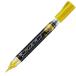  Pentel двойной металлик brush Gold XGFH-DX
