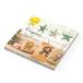  зеленый оригами oligami15 угол блок Basic 34493006