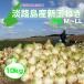  Awaji Island production new sphere leek 10kg first come, first served! being gone sequence end! limited sale..