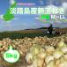  Awaji Island production new sphere leek 5kg first come, first served! less ... end! limited sale..