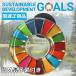 SDGs バッジ 本物 ピンバッジ 正規品 国連本部限定 丸みのあるタイプ 予備の留め具付き 17の目標 バッチ バッヂ ラッピング対応