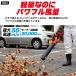 �u�����[ �[�d�� �R�[�h���X �n���f�B�u�����[ �y�� ���͑��� �����@ ��� ���t �|�� �� �x�����_ �K���[�W ���O 18V�o�b�e���[�t�� �n�[�h�P�[�X�t ���i�K���� �֘A�摜4