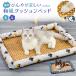  для домашних животных японский стиль кошка рисунок подушка bed лето домашнее животное собака .. собака кошка .. кошка популярный рекомендация симпатичный ....... прохладный Kiyoshi . подушка 